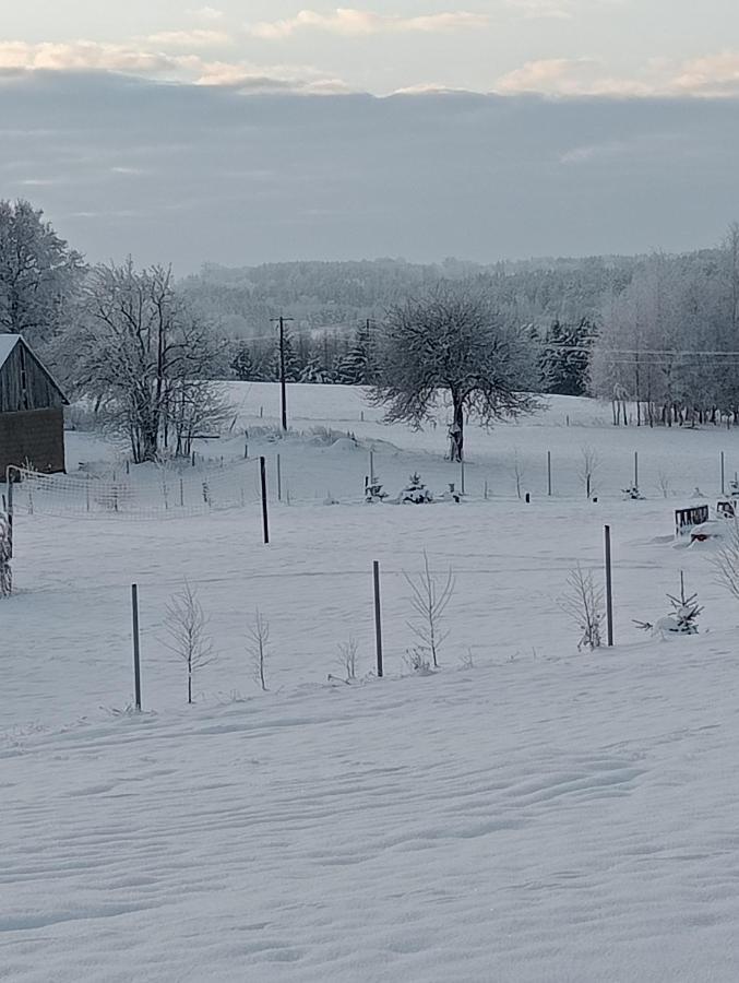 Na Wzgorzu - Rospuda Holiday home *